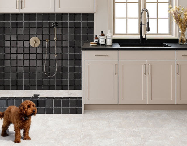 Laundry Floor Wall Tiles