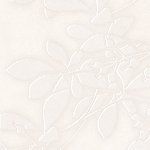 Cultured Cream