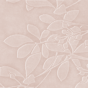 Sugared Almond