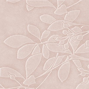 Sugared Almond