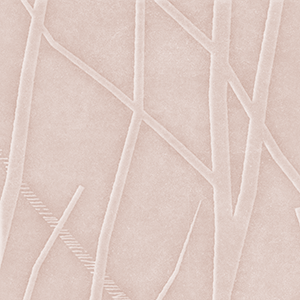 Sugared Almond