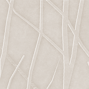 Wheat Husk