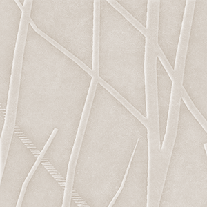 Wheat Husk