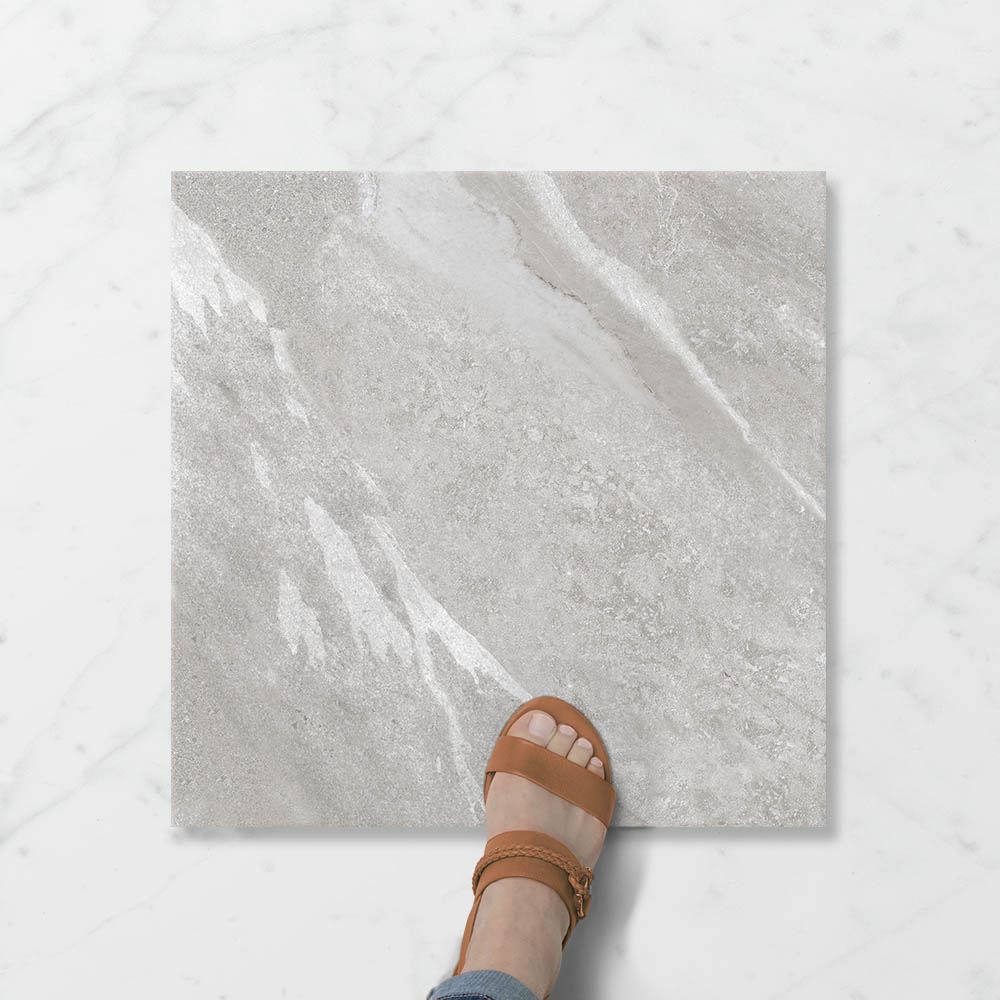 Pietra Ravine Silver Dollar