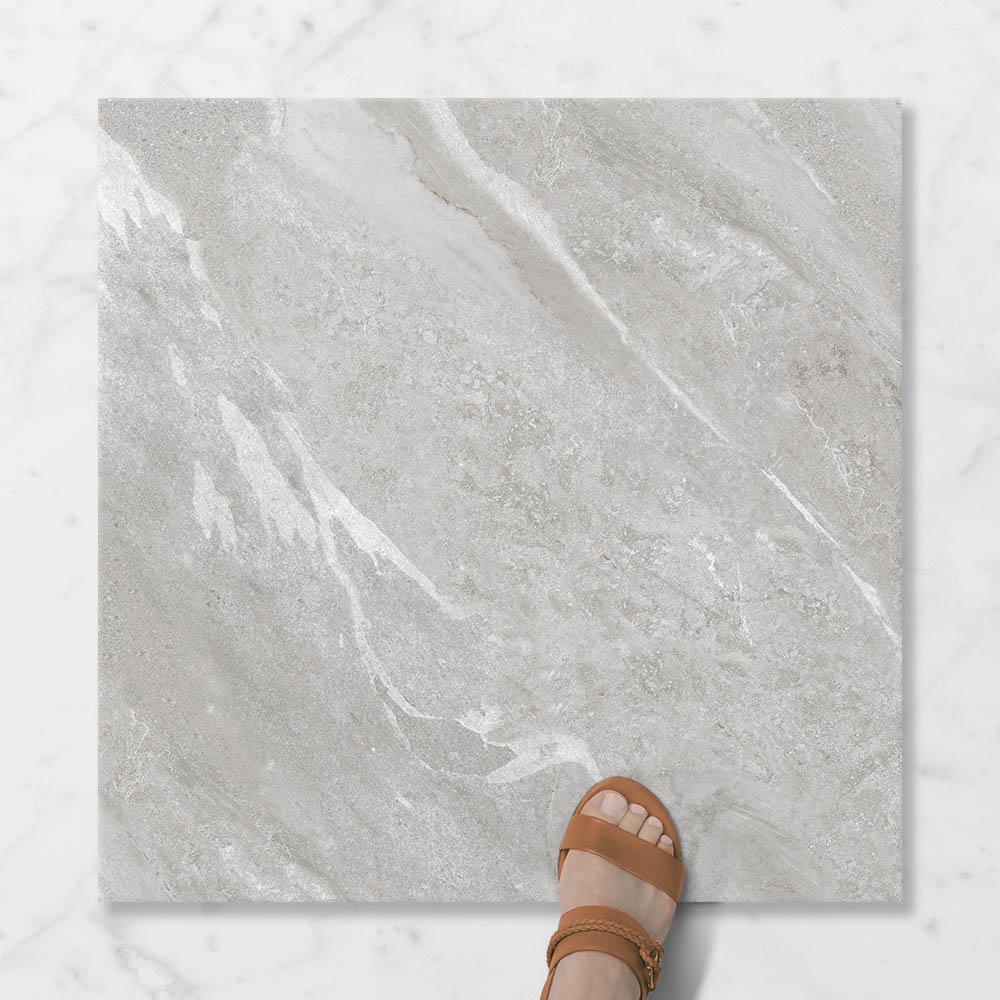 Pietra Ravine Silver Dollar