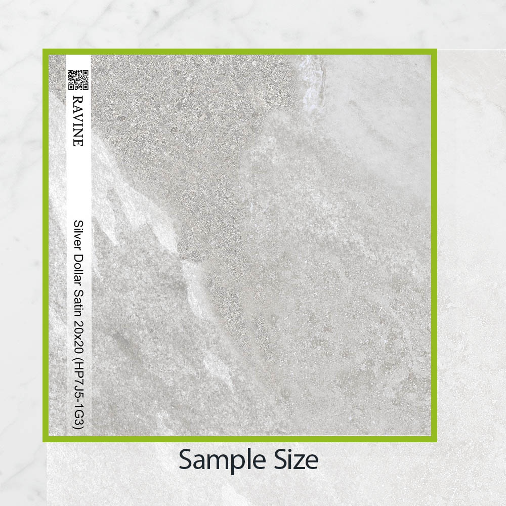 Pietra Ravine Silver Dollar