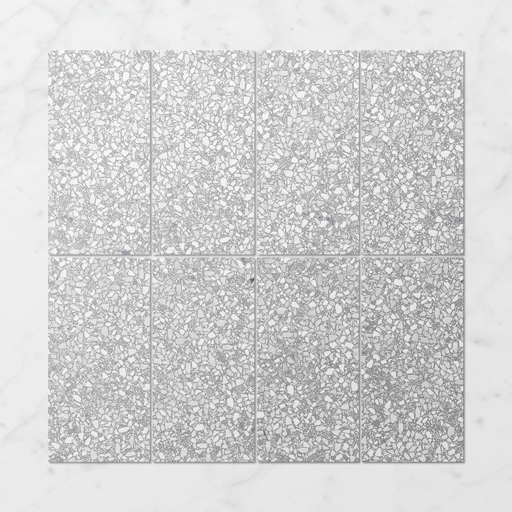 Terra Foray Silver Lining
