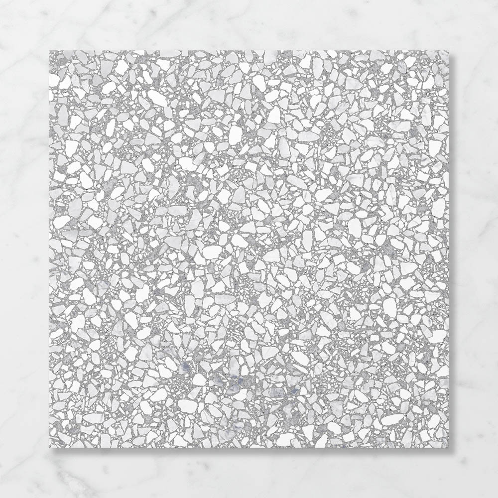 Terra Foray Silver Lining