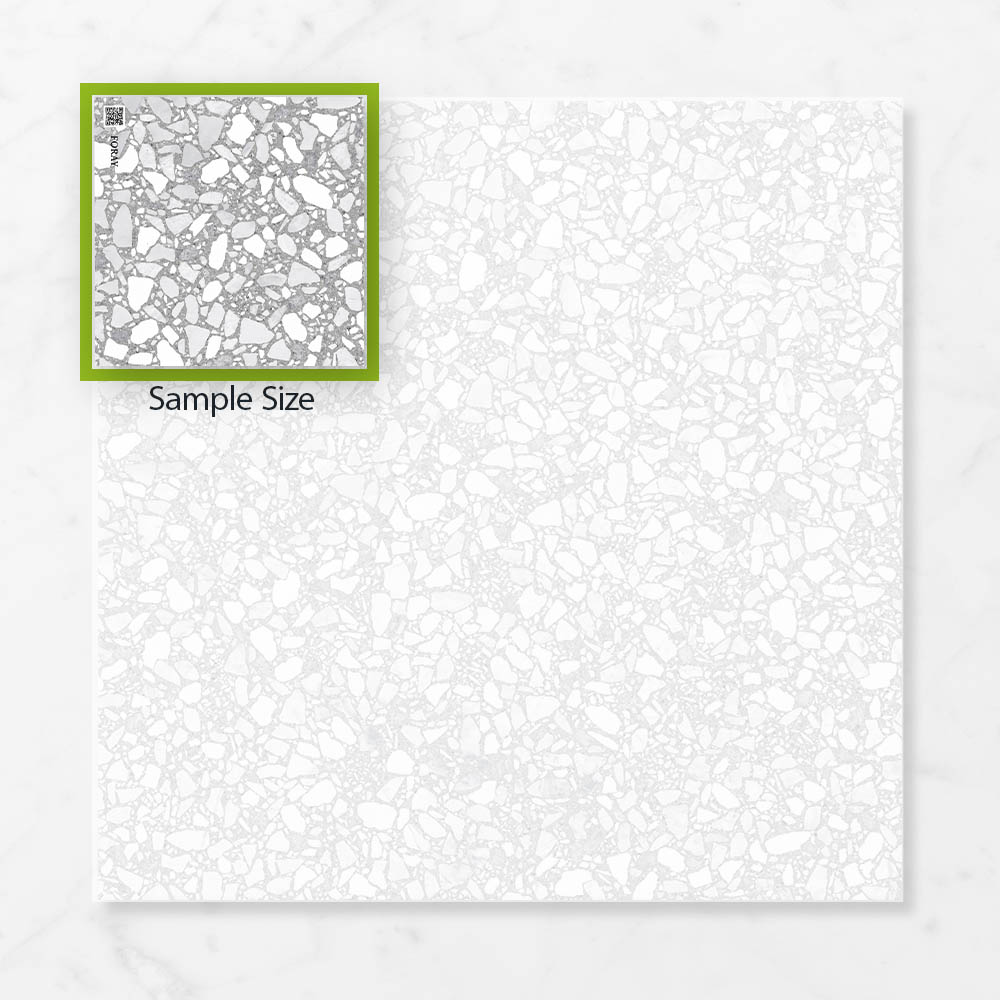 Terra Foray Silver Lining