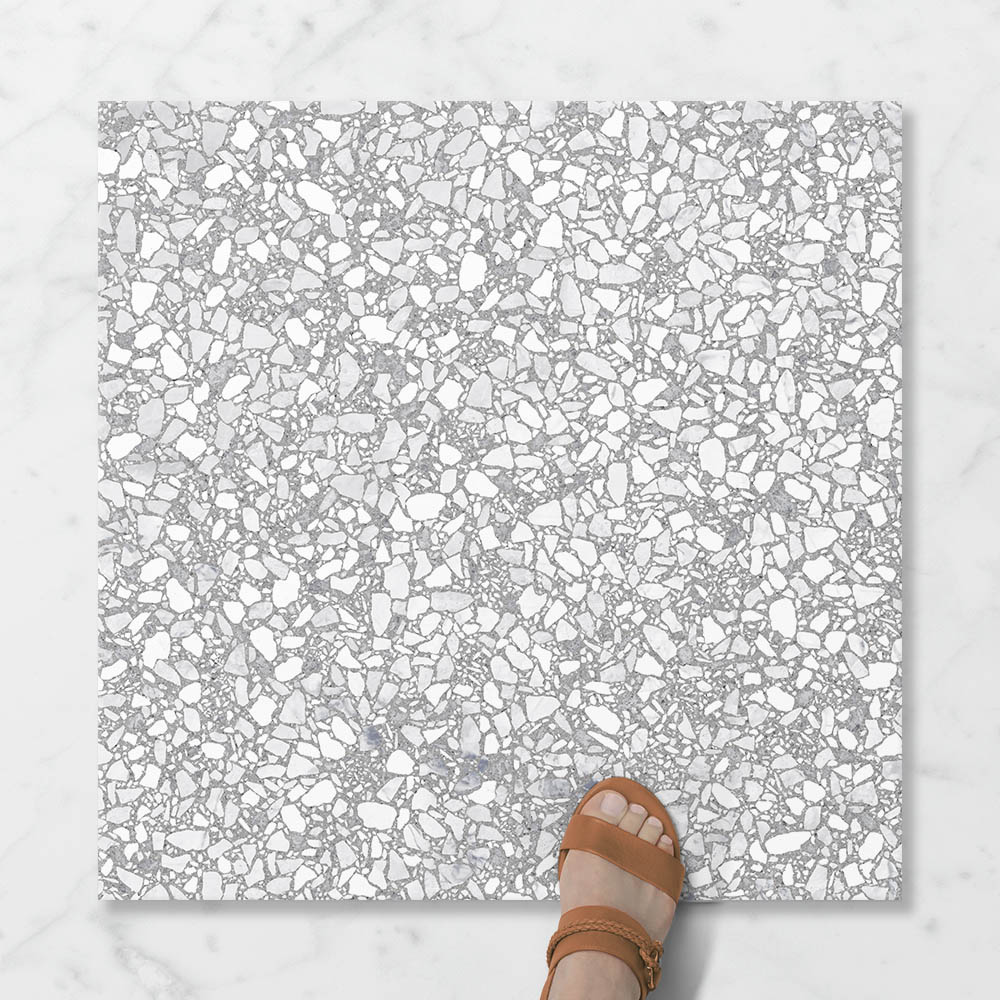 Terra Foray Silver Lining