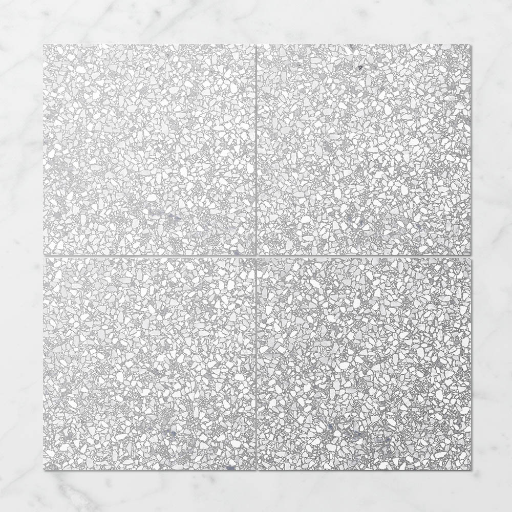 Terra Foray Silver Lining