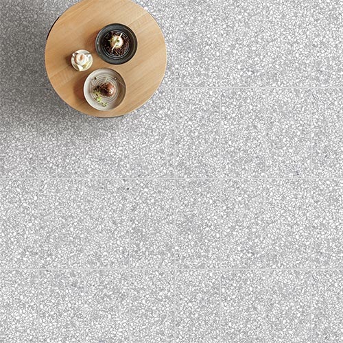 Terra Foray Silver Lining