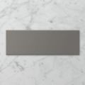 Picture of Subway Casa Elephant (Satin) 300x100