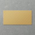 Picture of Adorn Fan Martini (Satin) 600x300 (Rectified)