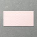 Picture of Adorn Farthing Icy Pink (Satin) 600x300 (Rectified)