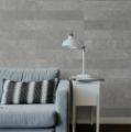 Picture of Forma Rivi Concrete (Matt) 600x118 (Rectified)