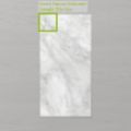 Picture of Aphrodite London Sterling (Matt) 300x600x10 (Rectified)
