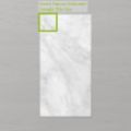 Picture of Aphrodite London Windchill (Matt) 300x600x10 (Rectified)