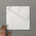 Picture of Aphrodite Statuario Ash (Matt) 200x200x7 (Rectified)