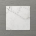 Picture of Aphrodite Statuario Ash (Matt) 200x200x7 (Rectified)