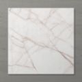 Picture of Aphrodite Statuario Old Rose (Matt) 600x600 (Rounded)