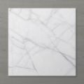 Picture of Aphrodite Statuario Tide (Matt) 600x600 (Rounded)