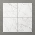 Picture of Aphrodite Statuario Ash (Matt) 600x600 (Rounded)