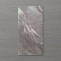 Picture of Pietra Ravine Fossil (Matt) 600x300 (Rectified)