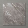 Picture of Pietra Ravine Fossil (Matt) 600x600 (Rectified)