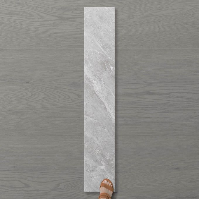 Picture of Pietra Ravine Silver Dollar (Matt) 1200x200 (Rectified)