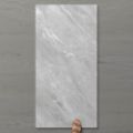 Picture of Pietra Ravine Silver Dollar (Matt) 1200x600 (Rectified)