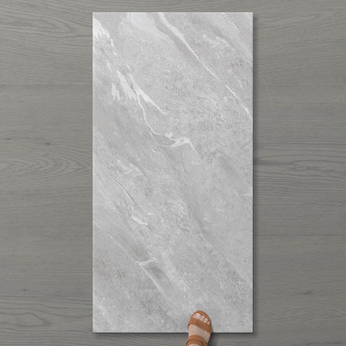 Picture of Pietra Ravine Silver Dollar (Matt) 1200x600 (Rectified)