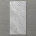 Picture of Pietra Ravine Silver Dollar (Matt) 1200x600 (Rectified)