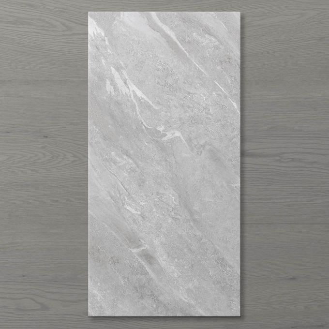 Picture of Pietra Ravine Silver Dollar (Matt) 1200x600 (Rectified)