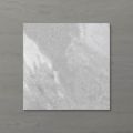 Picture of Pietra Ravine Silver Dollar (Matt) 200x200 (Rectified)