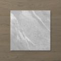 Picture of Pietra Ravine Silver Dollar (Matt) 450x450 (Rounded)