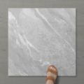 Picture of Pietra Ravine Silver Dollar (Matt) 600x600 (Rounded)