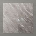 Picture of Pietra Ravine Fossil (Matt) 600x600 (Rounded)