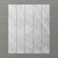 Picture of Pietra Ravine Silver Dollar (Matt) 1200x200 (Rectified)