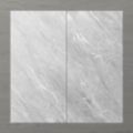 Picture of Pietra Ravine Silver Dollar (Matt) 1200x600 (Rectified)