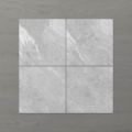 Picture of Pietra Ravine Silver Dollar (Matt) 200x200 (Rectified)