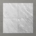 Picture of Pietra Ravine Silver Dollar (Matt) 600x600 (Rectified)