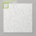 Picture of Terra Lusso Dolomite (Matt) 600x600 (Rectified)