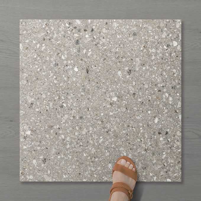 Picture of Terra Lusso Fawn (Matt) 600x600 (Rectified)