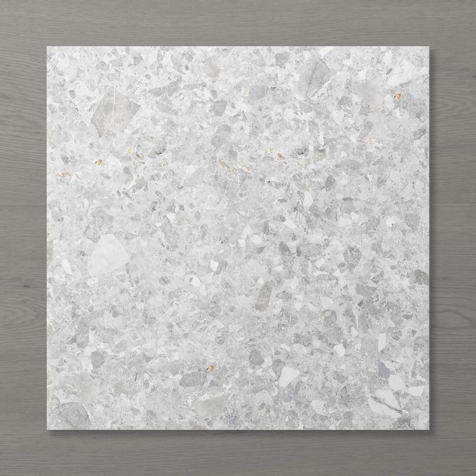 Picture of Terra Palacio Ashen (Matt) 600x600 (Rectified)
