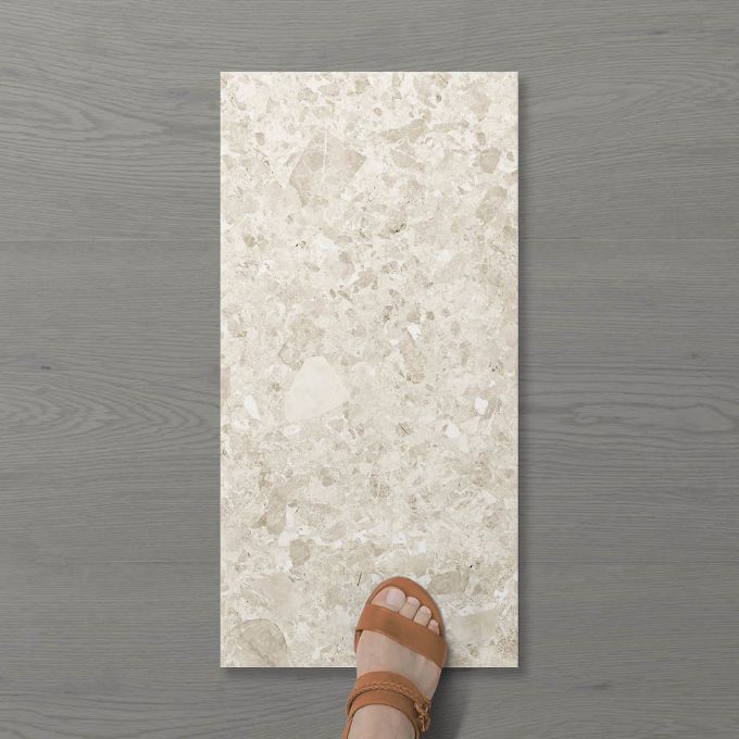 Picture of Terra Palacio Biscuit (Matt) 600x300 (Rounded)