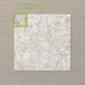 Picture of Terra Palacio Nougat (Matt) 450x450 (Rounded)