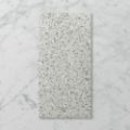 Picture of Terra Mondo Cement (Matt) 600x300 (Rectified) 