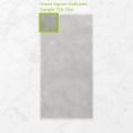 Picture of Forma Chicago Moonstone (Matt) 300x600x10 (Rectified)