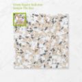 Picture of Terra Kosmo Cayenne (Matt) 450x450x7 (Rounded)